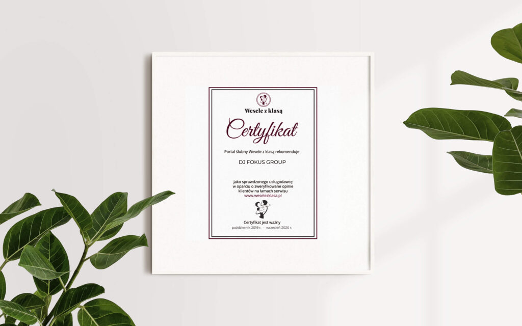 certyfikat fokus group